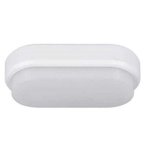 Bulkhead - ovale LED plafondlamp