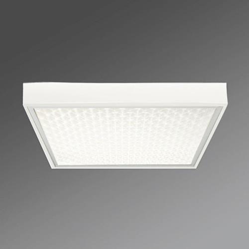 Kantoor plafondopbouwlamp Protection-PRAMP 660 BAP