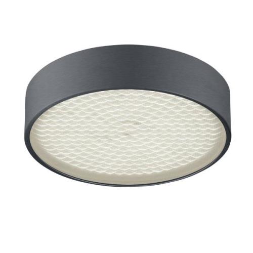 BANKAMP Drum LED plafondlamp, mat antraciet