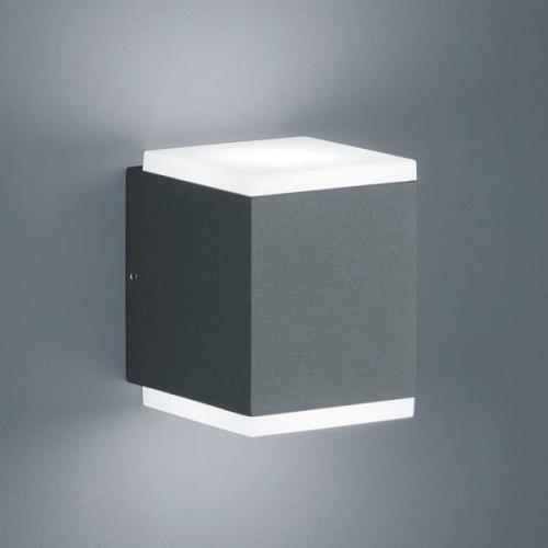 Helestra Kibo - LED buitenwandlamp, grafiet