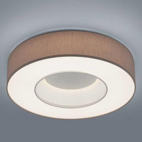 Helestra Lomo - LED plafondlamp, sits mocca