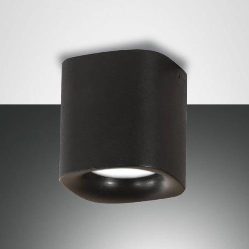 Plafondlamp Smooth, 1-lamp, zwart, IP44