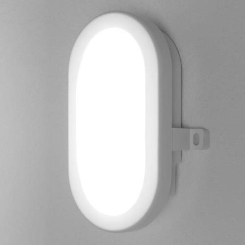 LEDVANCE Bulkhead LED buitenwandlamp 5,5W in Wit