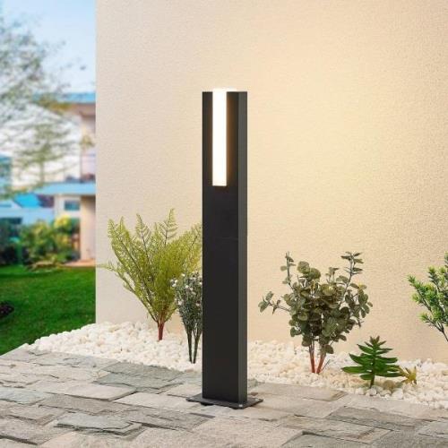 Lucande Virgalia LED tuinpadverlichting, 65 cm