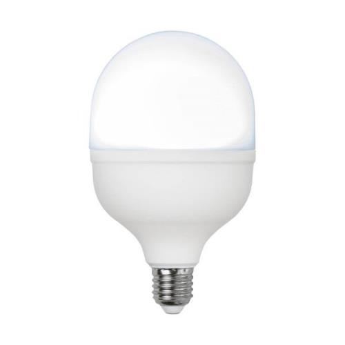 LED lamp E27 30W 6.500 K 4.000 lumen, rond