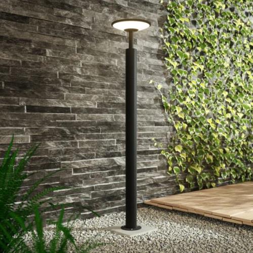 100 cm hoog - LED tuinpadverlichting Fenia