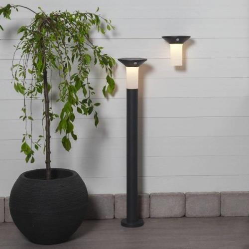 LED buitenwandlamp solar Corbezzola met sensor