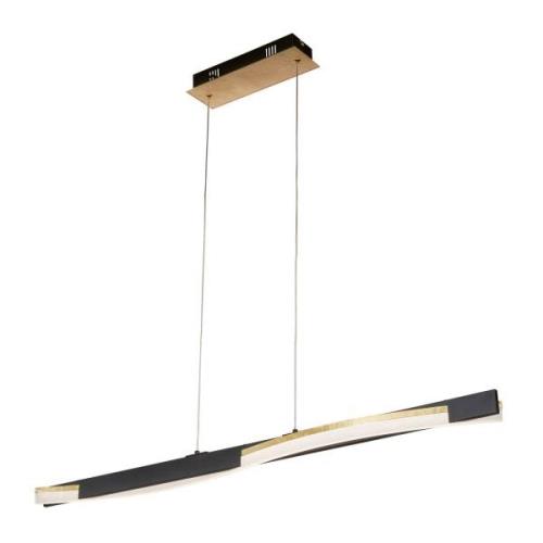 LED hanglamp Bridge afstandbediening dim CCT zwart