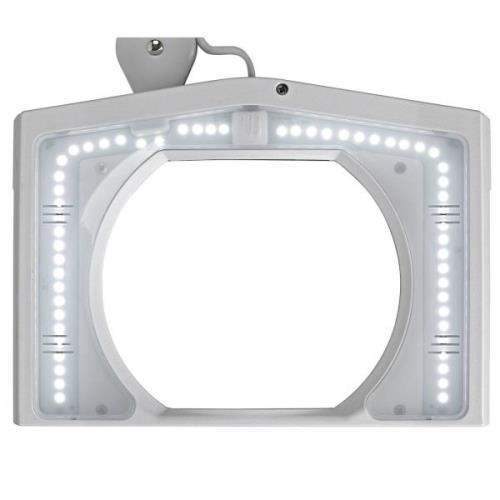 MAULvitrum LED loeplamp met klem, wit