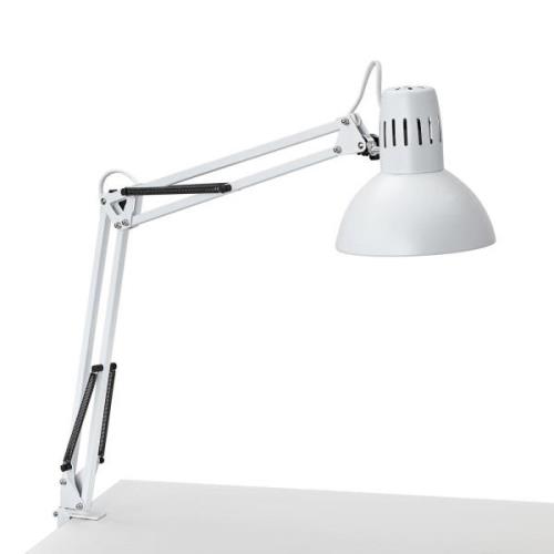 MAULstudy klemlamp, wit