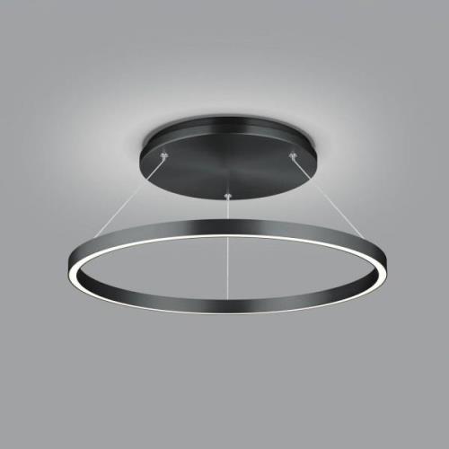 LED hanglamp Lisa-D, ringvormig, zwart