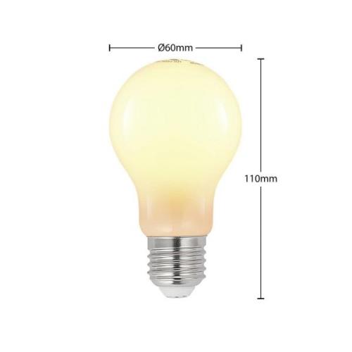 LED lamp E27 6W 2.700K dimbaar opaal 2 per set