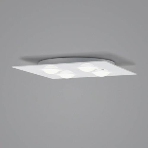 Helestra Nomi LED plafondlamp 38x38cm dim wit