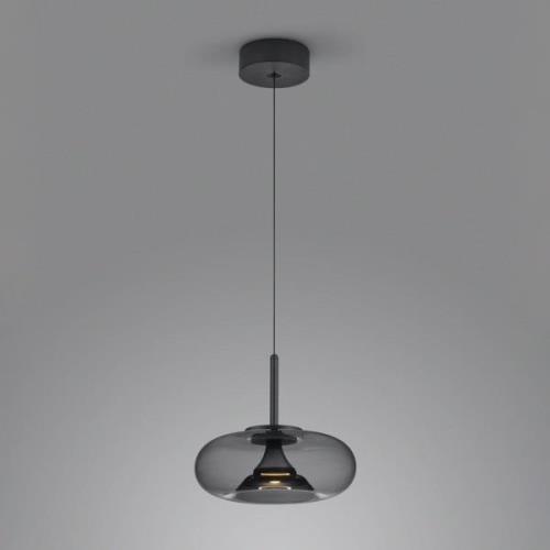 Helestra Sica LED hanglamp zwart/rookgrijs