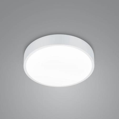 LED plafondlamp Waco, CCT, Ø 31cm, mat wit
