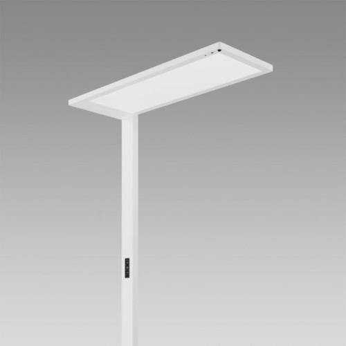 Regent Lighting Lightpad, sensor 1-lamp Link wit