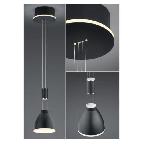 LED hanglamp Leni, 1-lamp, zwart