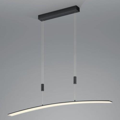 LED hanglamp Dual met afstandsbediening CCT zwart