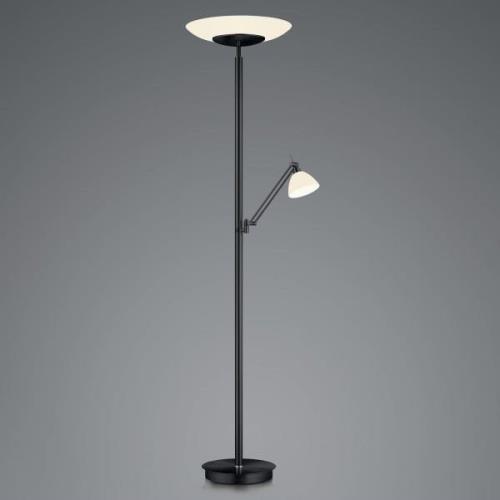 LED vloerlamp Findus, 2-lamps, zwart