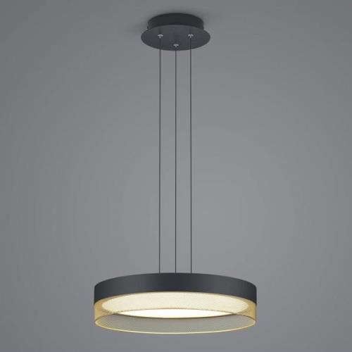 Mesh LED hanglamp, Ø 45 cm, zwart/goud