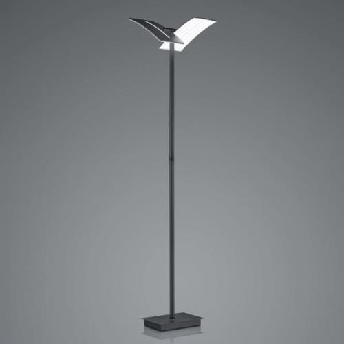 LED vloerlamp Dual CCT, dimbaar, zwart