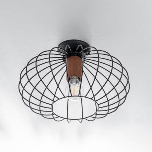 Plafondlamp Meridiano met kooikap 1-lamp