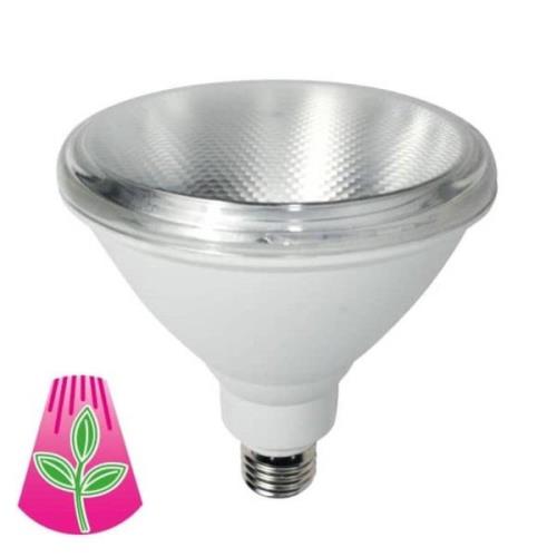 Planten lamp E27, PAR38, 10W, volspectrum