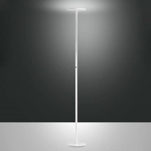 Regina LED vloerlamp, wit, CCT, dimbaar, hoogte 180 cm