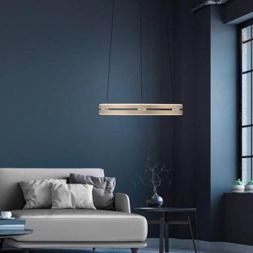 PURE LED hanglamp E-Loop, messing, Ø 50 cm aluminium CCT