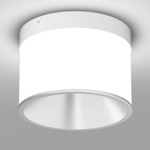 Molto Luce Dark Night 827 Casambi wit/zilver