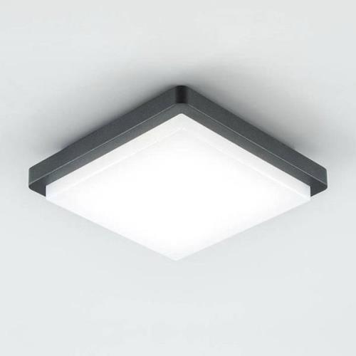 EVN Tectum LED buiten plafondlamp hoekig 150graden