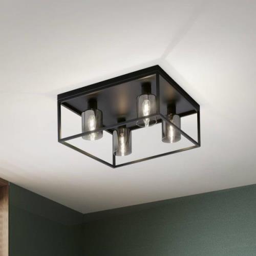 Plafondlamp Iska met frame, 4-lamps