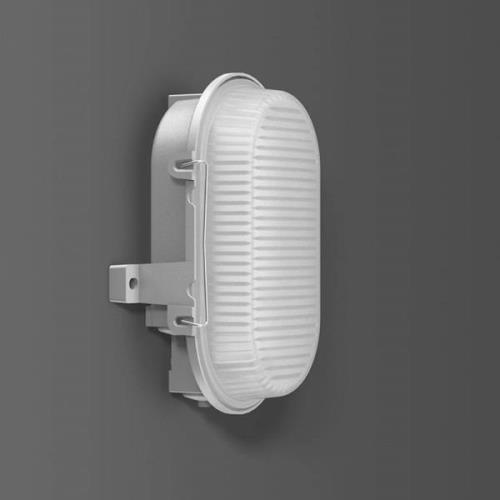 RZB Alu-Standard LED wandlamp, ovaal, IP66