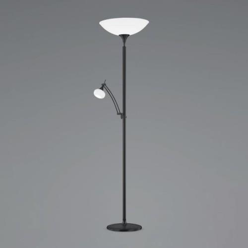 BANKAMP Opera LED uplighter, leesarm, zwart