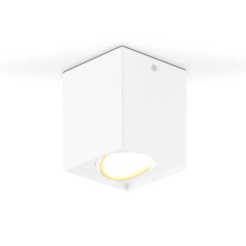 EVN Kardanus LED plafondlamp, 9x9cm, wit