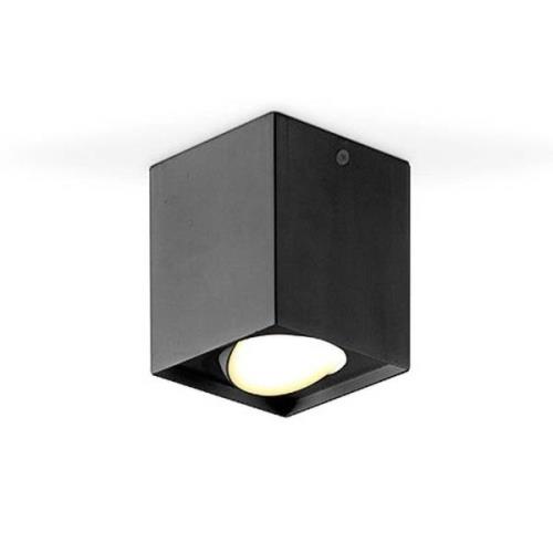 EVN Kardanus LED plafondlamp, 9x9cm, zwart