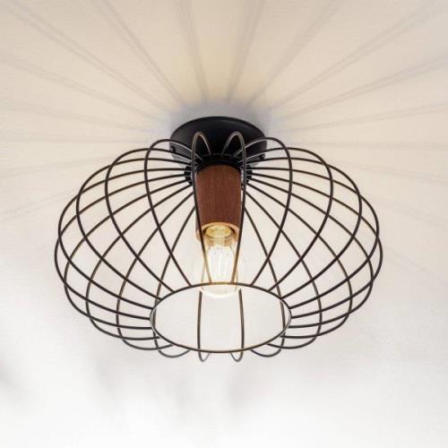 Plafondlamp Meridiano met kooikap 1-lamp