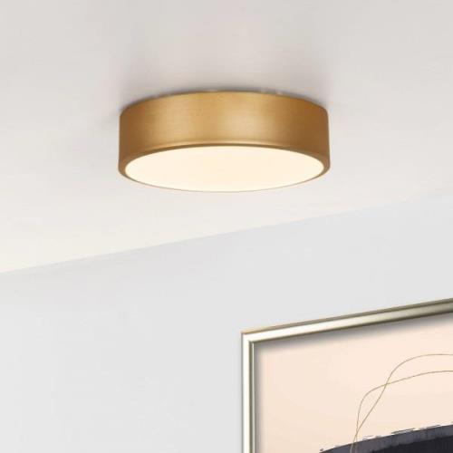 Plafondlamp Unar, goud mat, Ø 20 cm