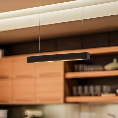 Hanglamp Lungo, zwart, lengte 64 cm