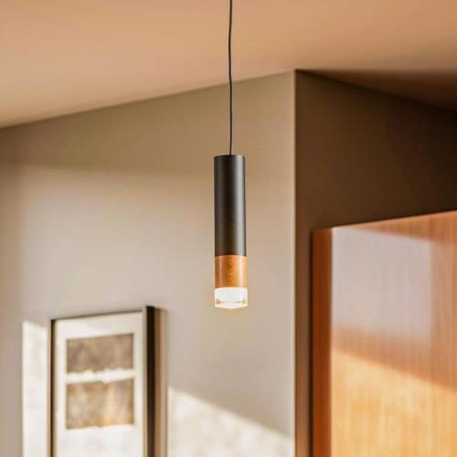 Envostar Fida hanglamp, 1-lamp, zwart