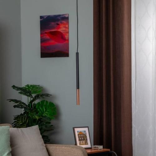 Euluna Thalassa hanglamp 1-lamp G9 zwart/koper