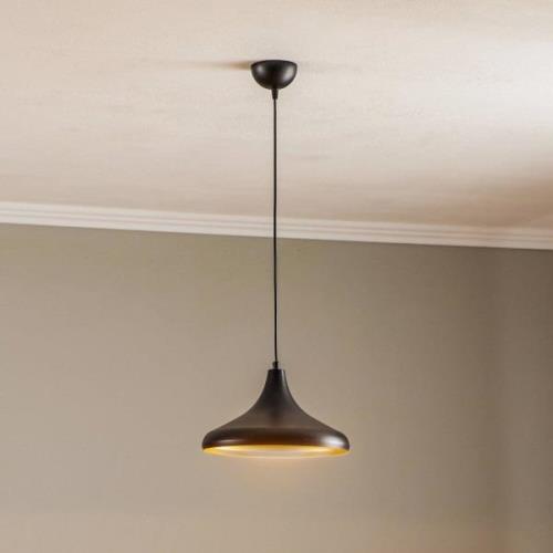 Hanglamp AV-4106-M8-BSY-29 zwart/goud Ø 29cm