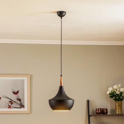 Hanglamp AV-4106-A7-BSY in onconventionele vorm