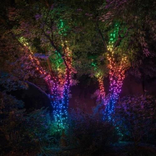 Twinkly RGB lichtkettingen, zwart, 100 lampjes 8m