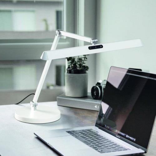 LED bureaulamp Beba, wit, CCT, dimbaar