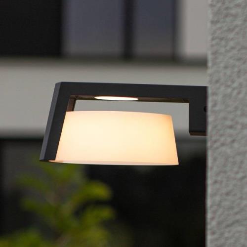 LED buitenwandlamp Moon, CCT, IP44