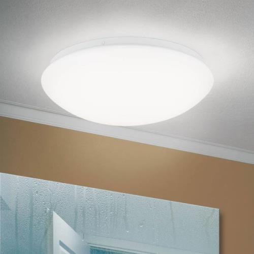 Plafondlamp Nedo gebogen, Ø 28,5 cm