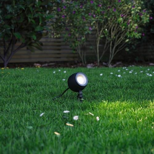 Paulmann Kikolo LED prikspot 8W 3.000K 20°