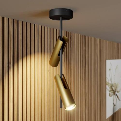 Leda 2 plafondspot, 2-lamps, zwart-goud