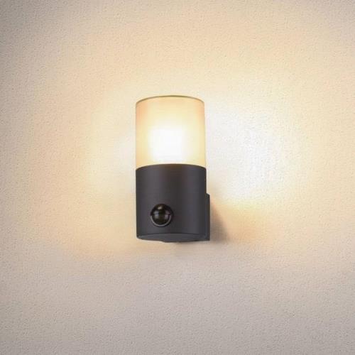 SLV Grafit buitenwandlamp cilindrisch met sensor